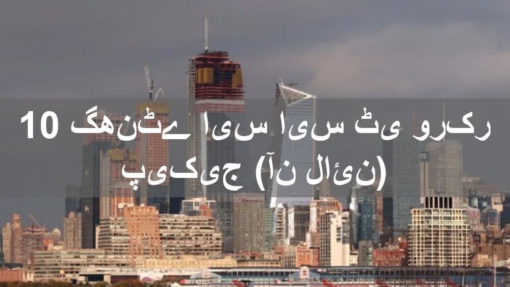10 گھنٹے ایس ایس ٹی ڈی او بی آن لائن ورکر پیکیج ٹریننگ کورس